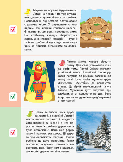 90 days of summer. Cards for every day. 1st grade coming soon / 90 днів літа. Картки на кожен день. Скоро 1 клас Алена Пуляева 978-617-09-5062-8-5