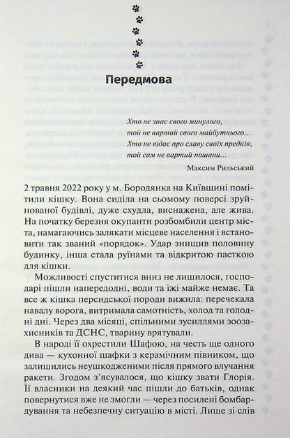 9 lives of Shafa's cat / 9 життів кішки Шафи Руслана Фалько 978-617-15-1922-0-4