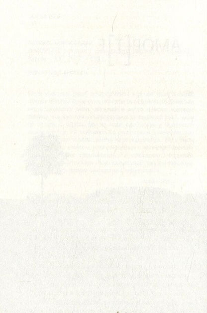 AMOR[T]E / АМОР[Т]Е Александра Иванюк 978-617-614-162-4-3