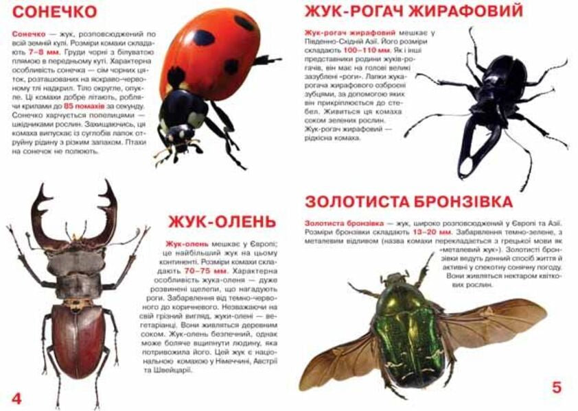 A Big Book. Beetles / Велика книжка. Жуки Oleg Zavyazkin / Олег Новідазкін 9789669367044-3