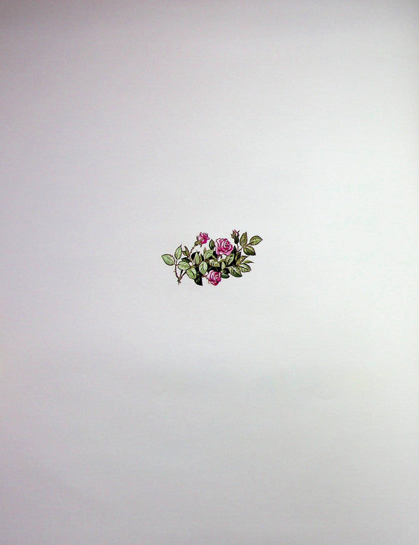 A Big Book About Fairies And Princesses. The Icy Heart. Celebration In Arendel (A Set Of 2 Books) / Велика книга про фей і принцес. Крижане серце. Святкування в Аренделі (комплект із 2-х книг) Peter Choleinon, Anna Kazalis, Analyz Strada / Пітер Холайнон, Анна Касаліс, аналіз страждає 9786171704756,9786171600775-6