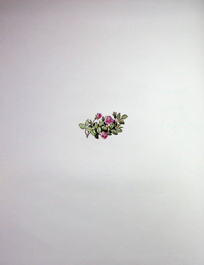 A Big Book About Fairies And Princesses. The Icy Heart. Celebration In Arendel (A Set Of 2 Books) / Велика книга про фей і принцес. Крижане серце. Святкування в Аренделі (комплект із 2-х книг) Peter Choleinon, Anna Kazalis, Analyz Strada / Пітер Холайнон, Анна Касаліс, аналіз страждає 9786171704756,9786171600775-6