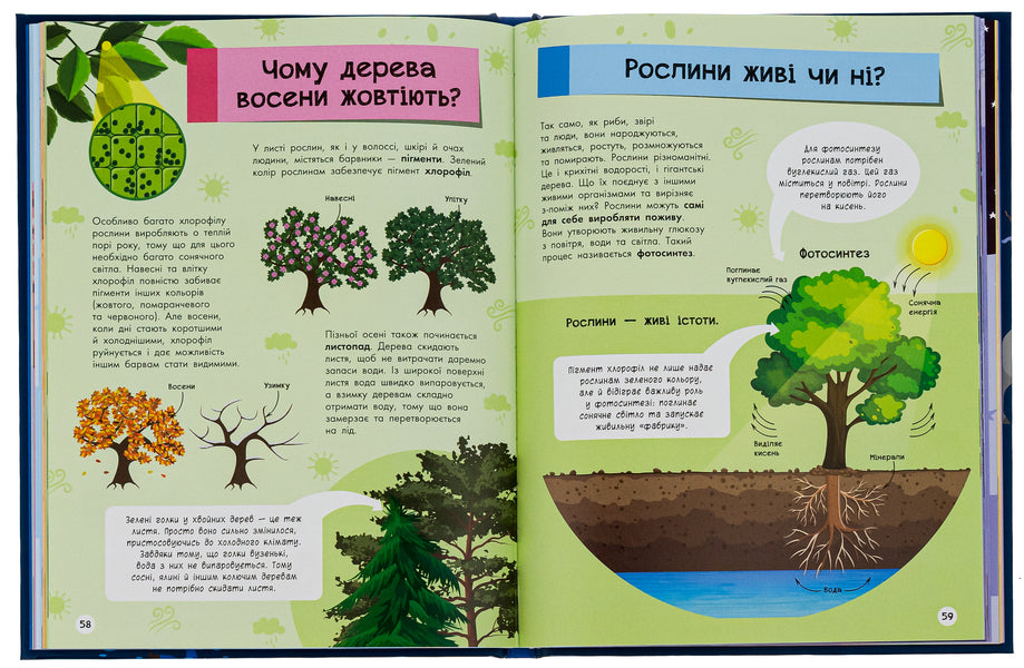 A Big Encyclopedia For Everything / Велика енциклопедія для чомусика / Author not specified 9786170976307-6