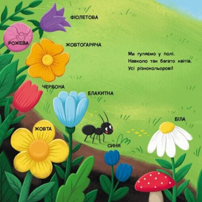 A Book For Kids. What Color? / Книжка для малечі. Якого кольору? Natalia Koval / Наталія Ковал 9789667617875-6