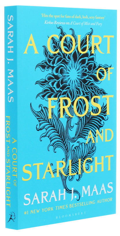 A Court of Frost and Starlight / A Court of Frost and Starlight Сара Маас 978-1-5266-1718-7-3