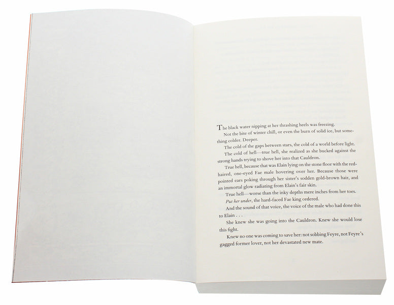 A Court of Silver Flames / A Court of Silver Flames Сара Маас 9781526620644-4