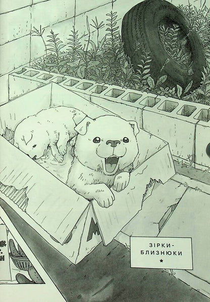 A Dog That Watches The Stars. Volume 2 / Песик, який пильнує зірки. Том 2 Takashi Murakami / Такаші Муракамі 9786178396527-5