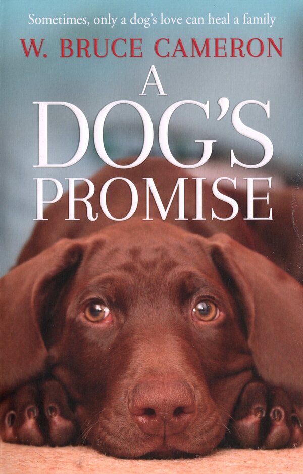 A Dog's Promise / A Dog's Promise У. Брюс Камерон 9781529010084-1