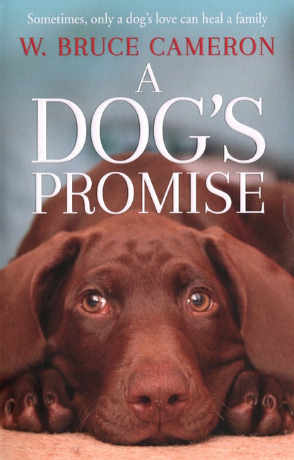 A Dog's Promise / A Dog's Promise У. Брюс Камерон 9781529010084-1