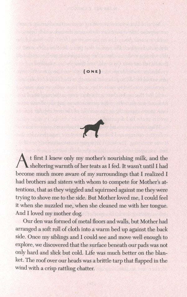 A Dog's Promise / A Dog's Promise У. Брюс Камерон 9781529010084-4