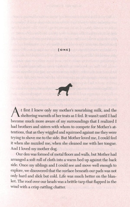 A Dog's Promise / A Dog's Promise У. Брюс Камерон 9781529010084-4