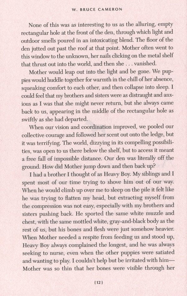 A Dog's Promise / A Dog's Promise У. Брюс Камерон 9781529010084-5