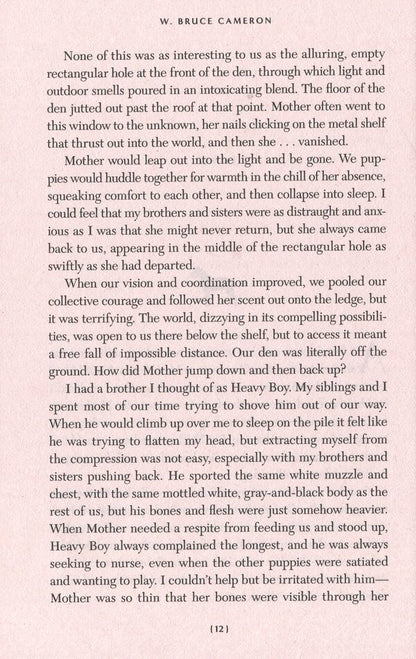 A Dog's Promise / A Dog's Promise У. Брюс Камерон 9781529010084-5