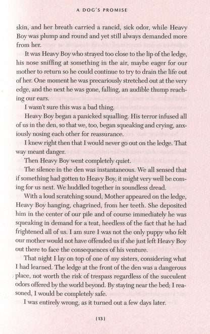 A Dog's Promise / A Dog's Promise У. Брюс Камерон 9781529010084-6