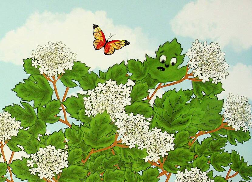 A Fairy Tale - Like A Hug / Казка - як обійми Crystina Kostenko / Крістіна Костенко 9786178477684-4