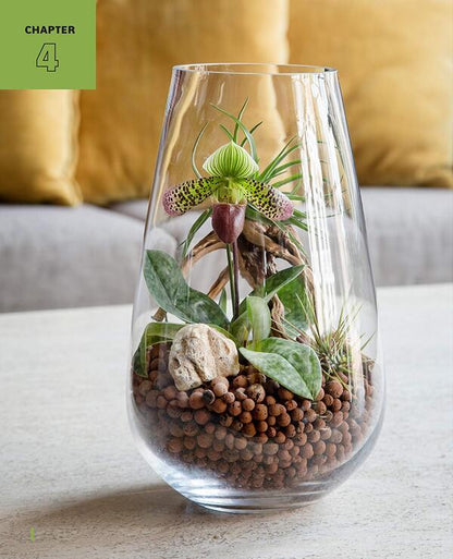 A Family Guide to Terrariums for Kids. Imagination-inspiring Projects to Grow a World in Glass. Build a mini ecosystem! / A Family Guide to Terrariums for Kids. Imagination-inspiring Projects to Grow a World in Glass. Build a mini ecosystem! Патрисия Бузо 9780760367346-4