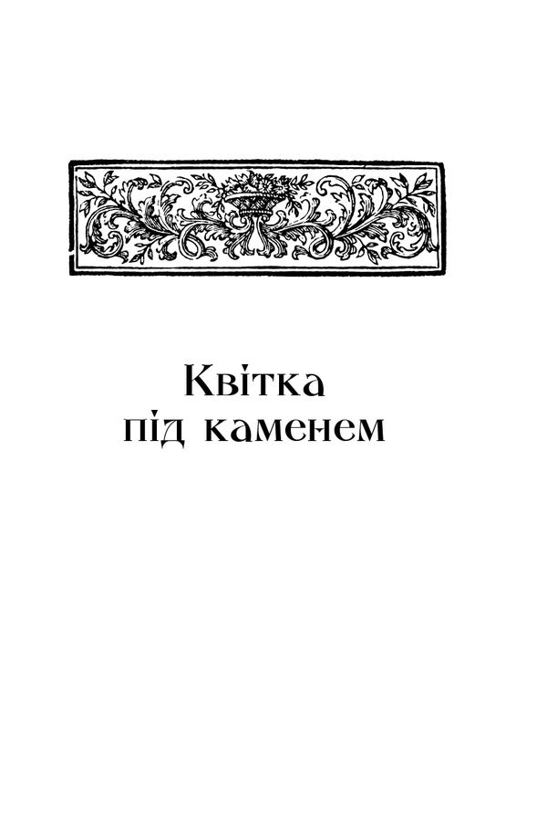A Flower Under A Stone / Квітка під каменем Anatoly Vyshevsky / Анатолій Вишевський 9786176146742-6
