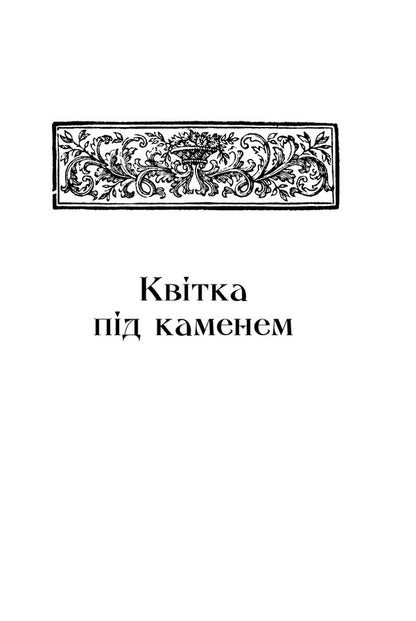 A Flower Under A Stone / Квітка під каменем Anatoly Vyshevsky / Анатолій Вишевський 9786176146742-6