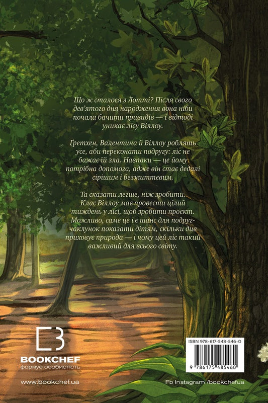 A Girl Named Willow Book 3 The Rustle Of Wings - Двчинка на мя Вллоу Книга 3 Шелест крил Bolman will kill - Забн Больман 9786175485460-2