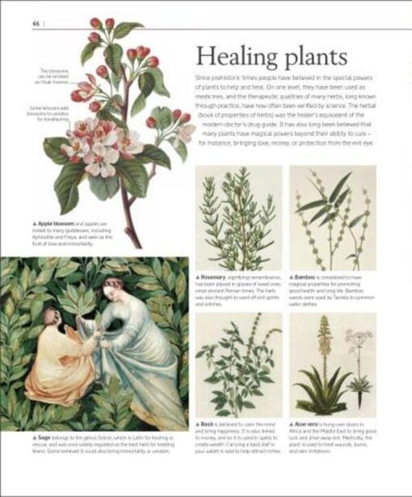 A History of Magic. Witchcraft and the Occult / A History of Magic. Witchcraft and the Occult  978-0-2413-8611-8-5