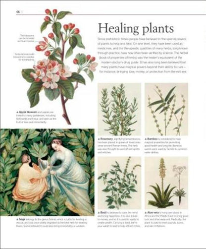 A History of Magic. Witchcraft and the Occult / A History of Magic. Witchcraft and the Occult  978-0-2413-8611-8-5