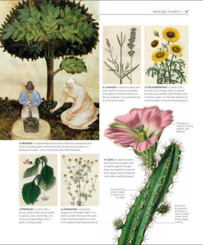 A History of Magic. Witchcraft and the Occult / A History of Magic. Witchcraft and the Occult  978-0-2413-8611-8-6