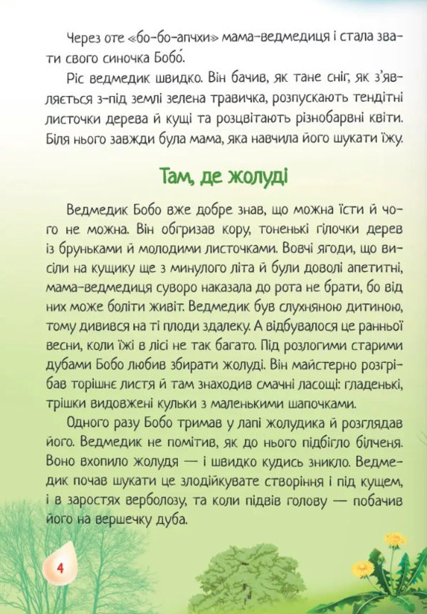 A Magical Feather. Tales - Чарвна прнка. Казки Lesya Pron - Леся Пронь 9789660742758-6
