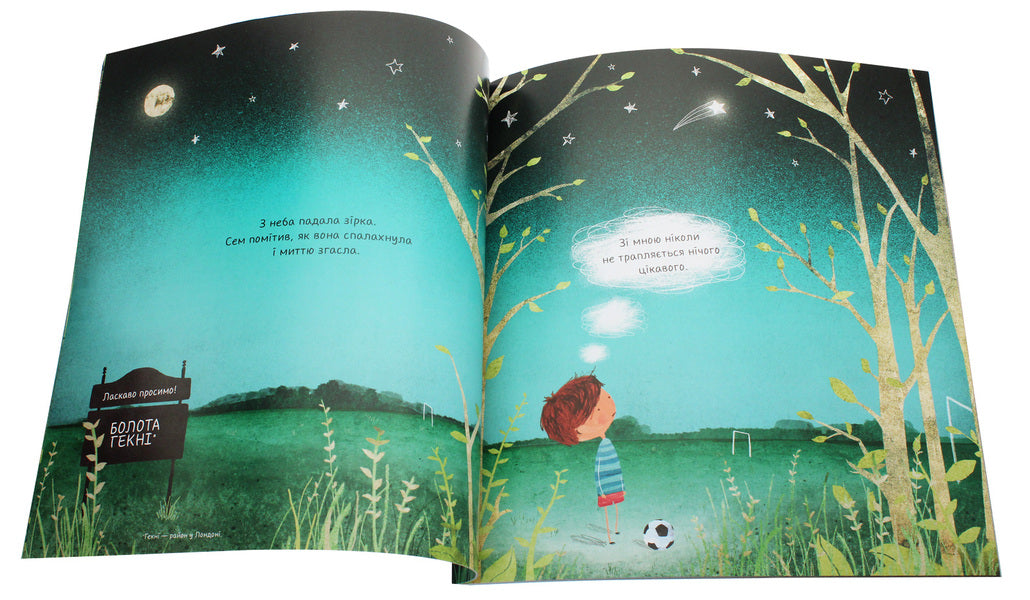 A Martian from our area / Марсіянин з нашого району Пол Браун 978-617-7579-52-5-4