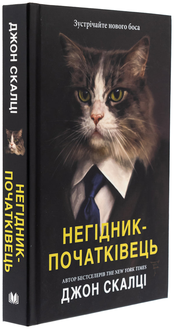 A Nourist-Beginner / Негідник-початківець John Skalz / Джон Скалзі 9789669489180-3