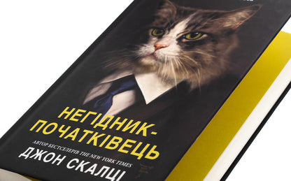 A Nourist-Beginner / Негідник-початківець John Skalz / Джон Скалзі 9789669489180-4