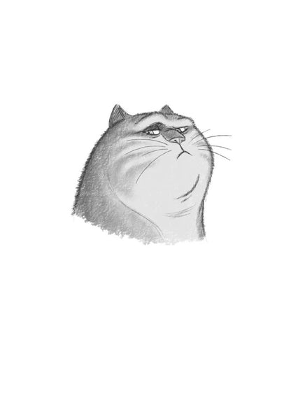 A Real Cat / Справжнісінький кіт Terra Pratchett / Террі Пратчетт 9789664481394-2