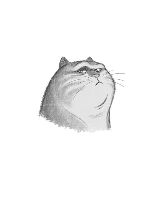 A Real Cat / Справжнісінький кіт Terra Pratchett / Террі Пратчетт 9789664481394-2
