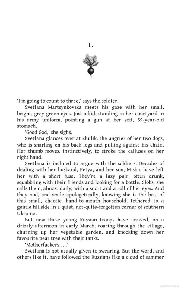 A Small, Stubborn Town. Life, death and defeat in Ukraine / A Small, Stubborn Town. Life, death and defiance in Ukraine Эндрю Хардинг 9781804183366-2