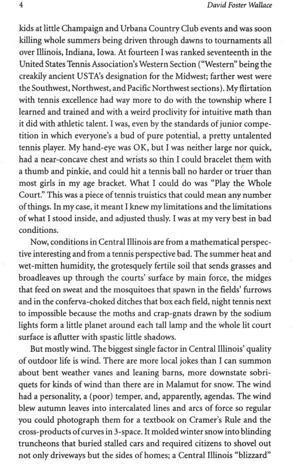 A Supposedly Fun Thing I'll Never Do Again David Foster Wallace / Дэвид Фостер Уоллес 9780349110011-5