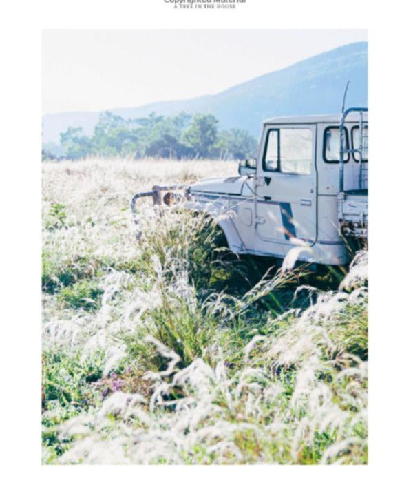 A Tree in the House: Flowers for your Home, Special Occasions and Every Day / A Tree in the House: Flowers for your Home, Special Occasions and Every Day Аннабель Хиксон 9781743793749-6