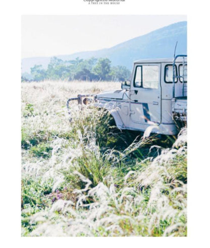 A Tree in the House: Flowers for your Home, Special Occasions and Every Day / A Tree in the House: Flowers for your Home, Special Occasions and Every Day Аннабель Хиксон 9781743793749-6