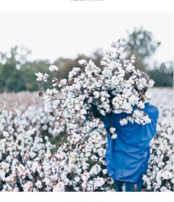 A Tree in the House: Flowers for your Home, Special Occasions and Every Day / A Tree in the House: Flowers for your Home, Special Occasions and Every Day Аннабель Хиксон 9781743793749-3