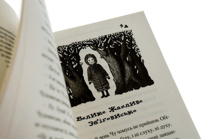 A Wonderful Monster. In 3 Books. Book 1 / Чудове чудовисько. У 3-х книгах. Книга 1 Sashko Dermansky / Сашко Дерманський 9789667047634-4