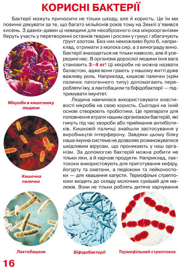 A big book.Bacteria / Велика книжка. Бактерії  978-966-987-543-3-4