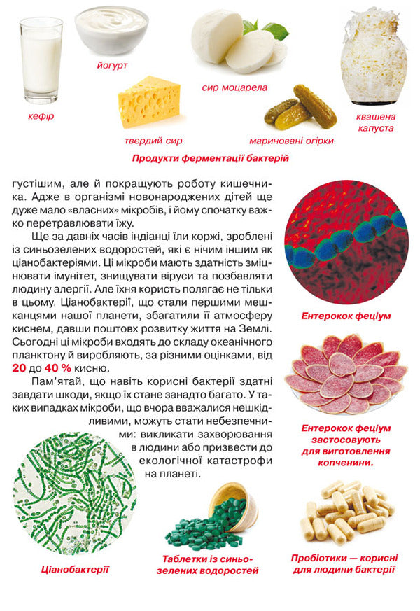 A big book.Bacteria / Велика книжка. Бактерії  978-966-987-543-3-5