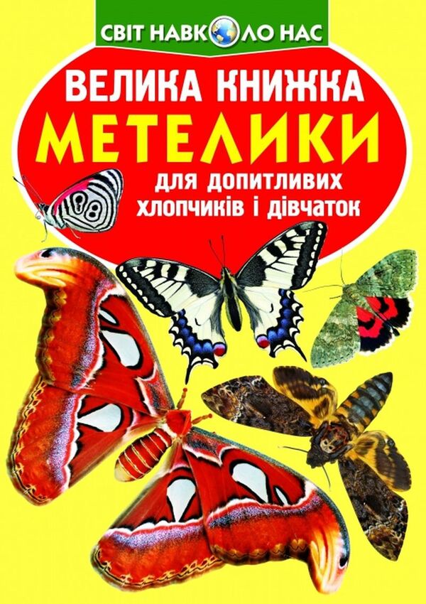 A big book. Butterflies / Велика книжка. Метелики  978-966-936-775-4-1