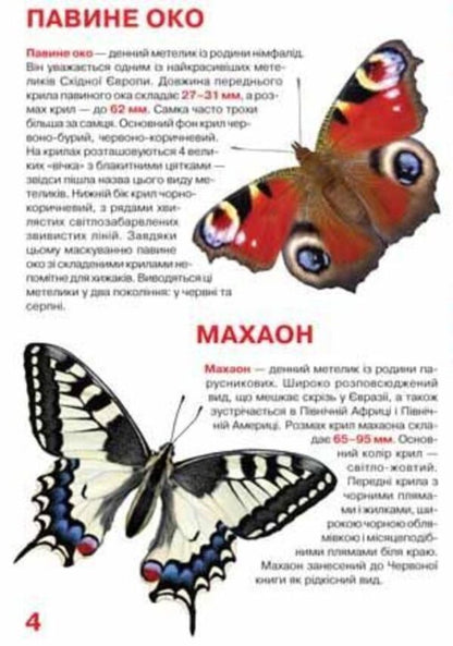 A big book. Butterflies / Велика книжка. Метелики  978-966-936-775-4-3