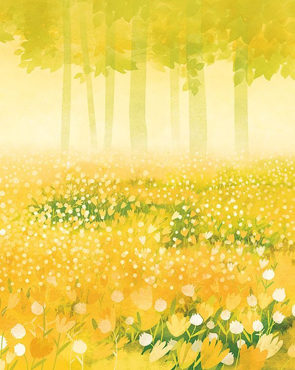 A bison is looking for a nest / Зубр шукає гніздо Оксана Була 978-617-679-335-9-4