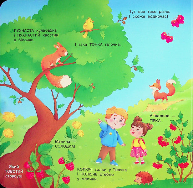 A book for kids. Looks like excellent. 24 Windows / Книжка для малечі. Схоже і відмінне. 24 віконця-хованки Наталия Ковальчук 9789667617868-5
