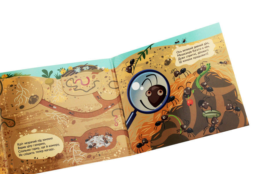 A book with windows.Who hid under the ground / Книжка з віконцями. Хто сховався під землею Марина Ляшок, Татьяна Строкач 9789667499150-5