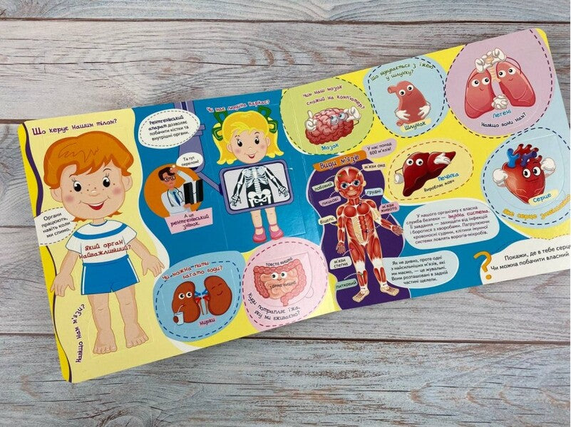 A book with windows. my body / Книжка з віконцями. Моє тіло  9789664668603-3