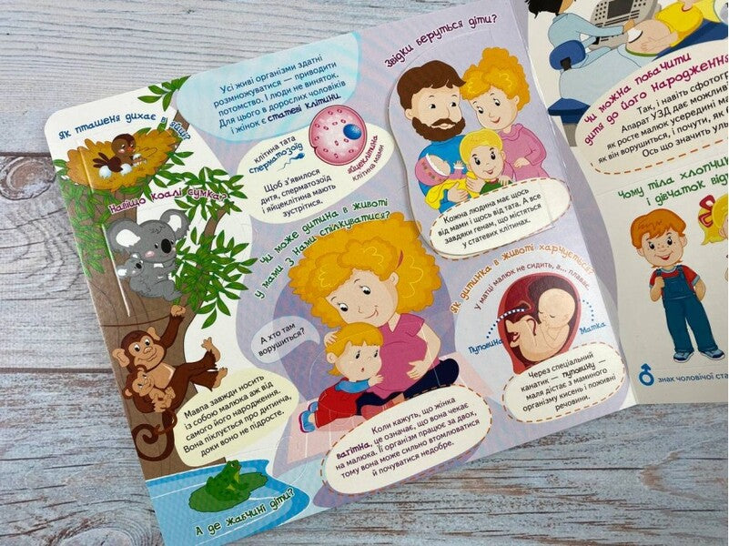 A book with windows. my body / Книжка з віконцями. Моє тіло  9789664668603-5