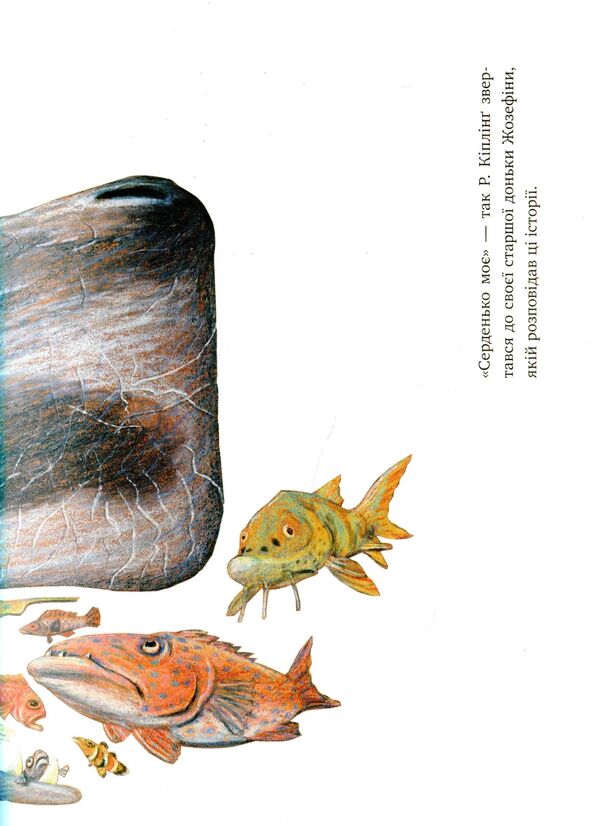 A butterfly that stomped its foot. Tales-stories / Метелик, який тупав ногою. Казки-оповідки Редьярд Киплинг 978-617-7537-58-7-5