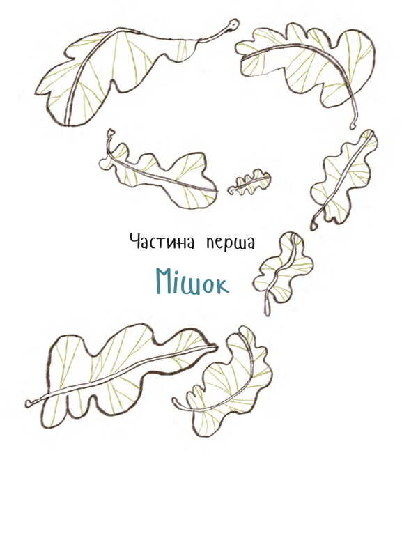 A child from a bag / Дитина з мішка Иван Андрусяк 978-966-10-8867-1-3