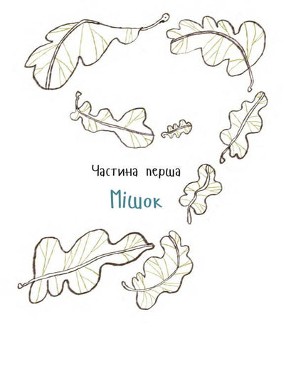 A child from a bag / Дитина з мішка Иван Андрусяк 978-966-10-8867-1-3